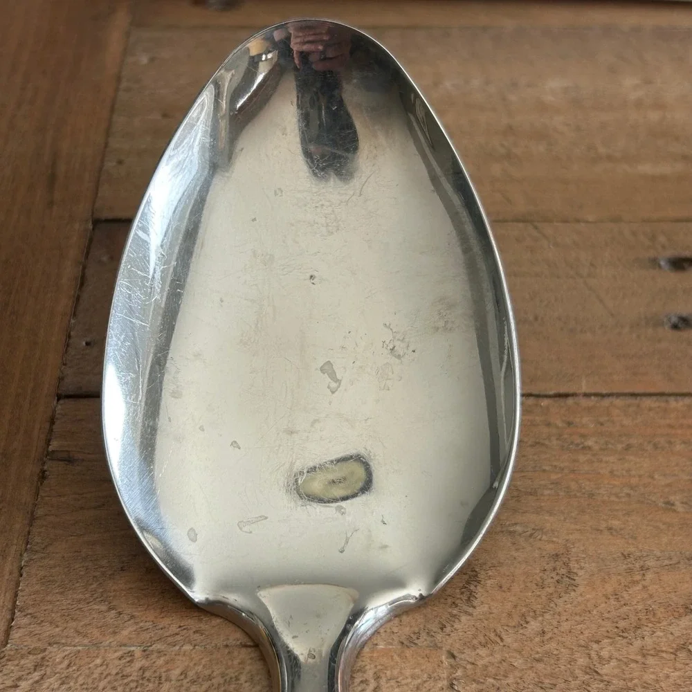 Eterna by Ekco Stainless Steel Solid‎ Serving Spoon 18/8 Silver Hanging Loop